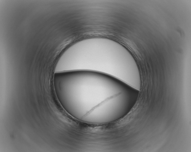 X0000112740120200908201043