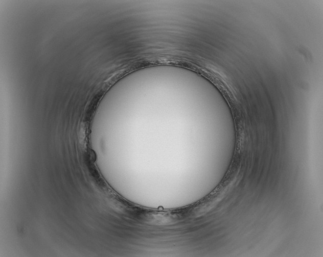 X0000112740121200908201043