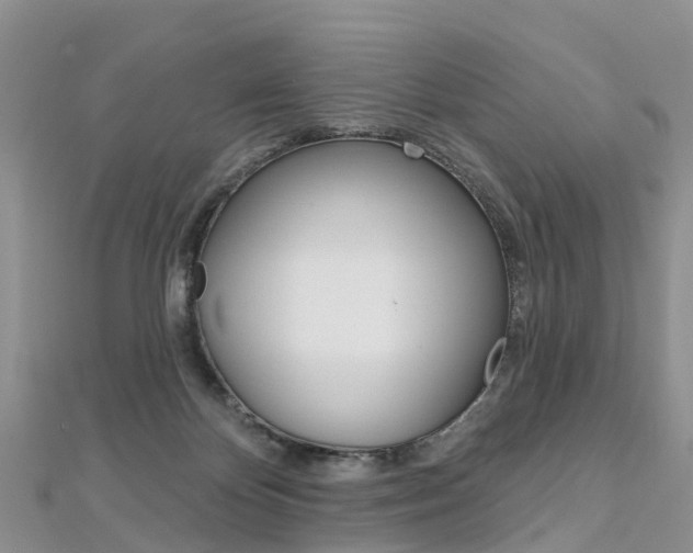 X0000112740124200908201043