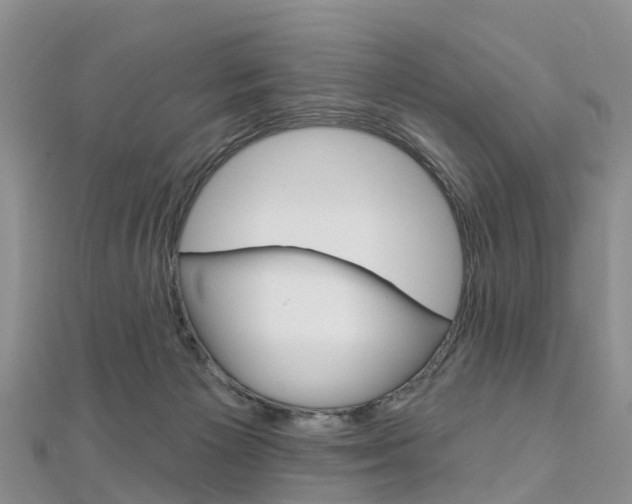 X0000112740125200908201043