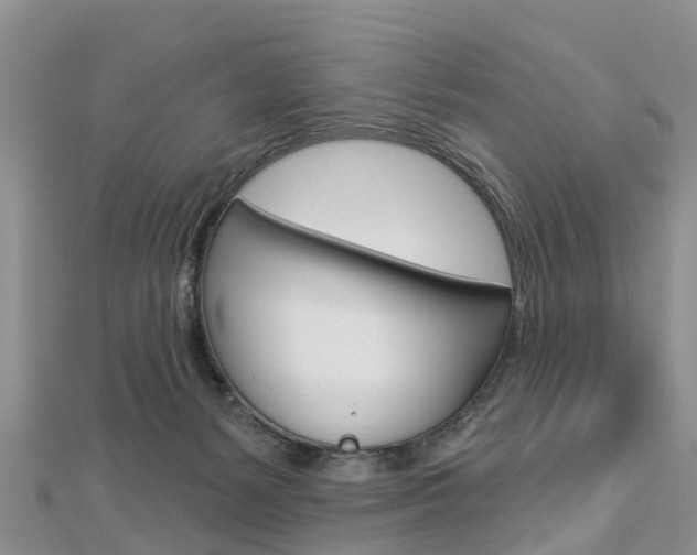 X0000112740127200908201043