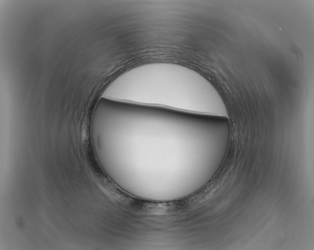 X0000112740131200908201043