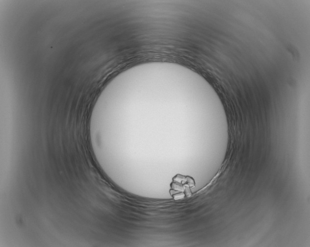 X0000112740132200908201043