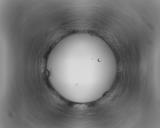 X0000112740133200908201043