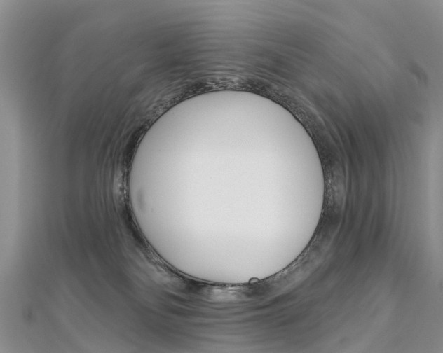 X0000112740134200908201043