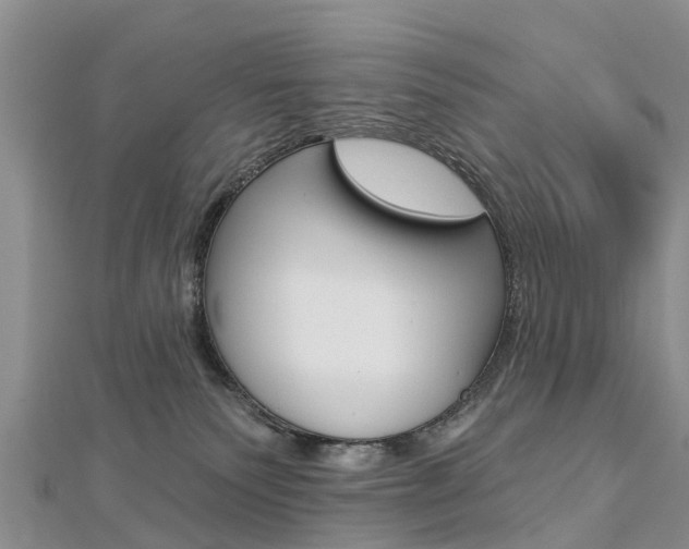 X0000112740135200908201043