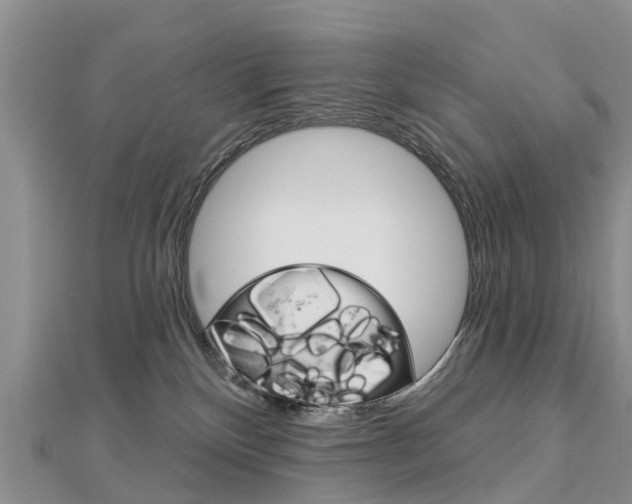 X0000112740136200908201043