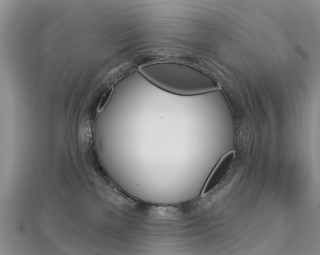 X0000112740137200908201043