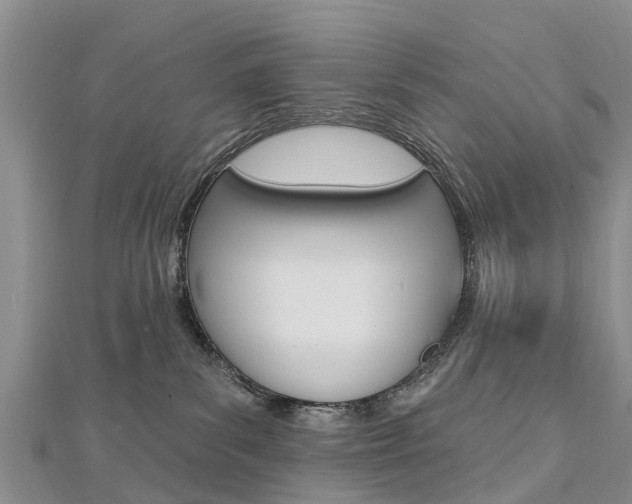 X0000112740139200908201043