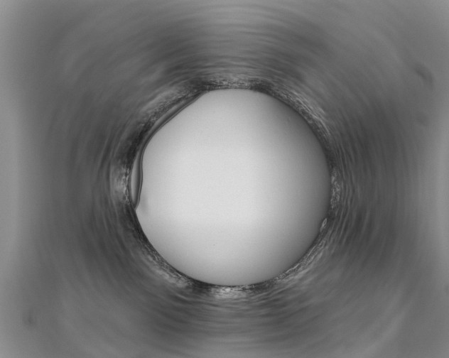 X0000112740141200908201043