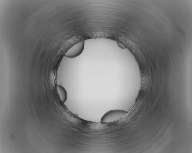 X0000112740142200908201043