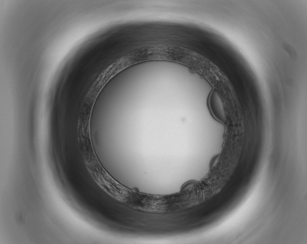 X0000112740143200908201043