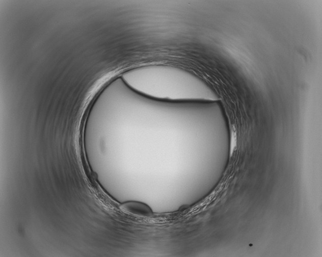 X0000112740147200908201042