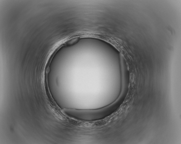 X0000112740148200908201042