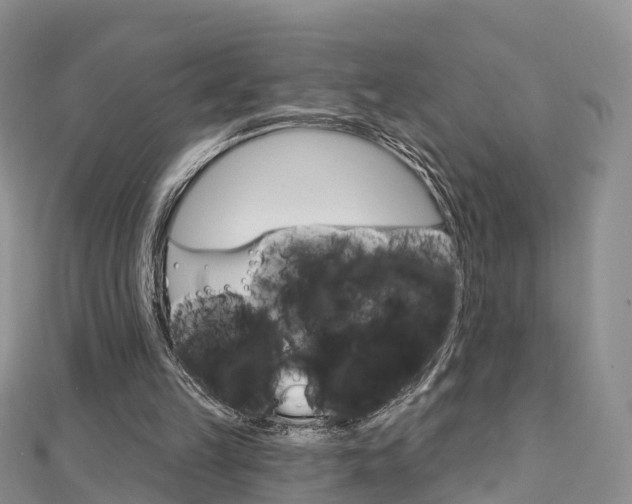 X0000112740149200908201042
