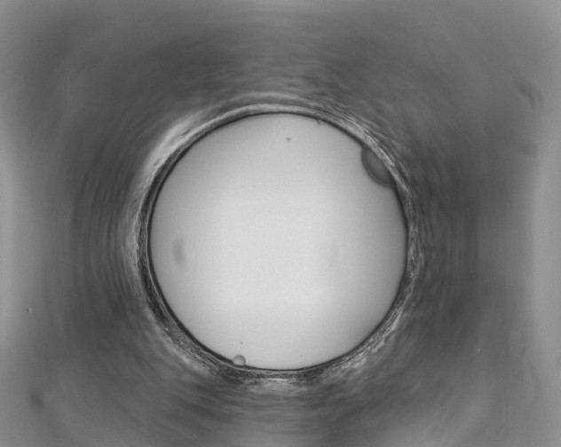 X0000112740151200908201042