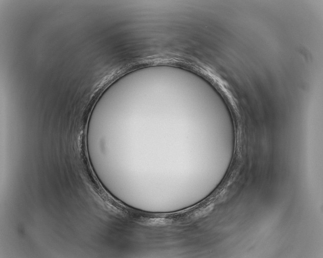 X0000112740153200908201042