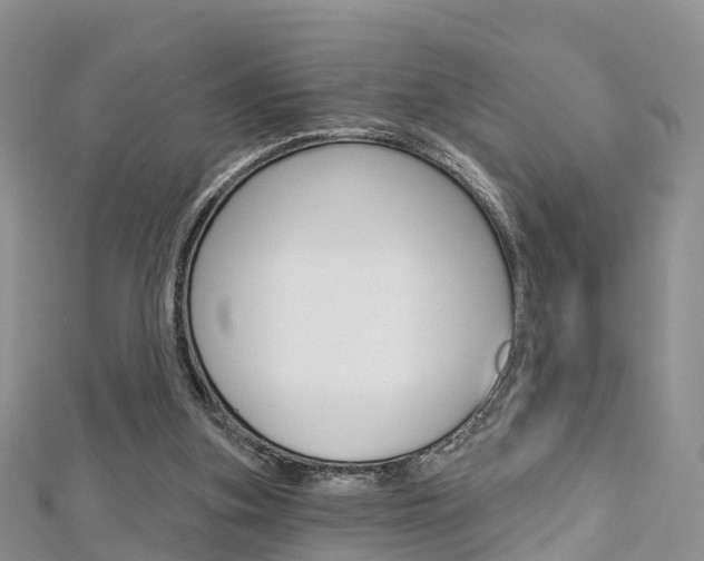 X0000112740155200908201042