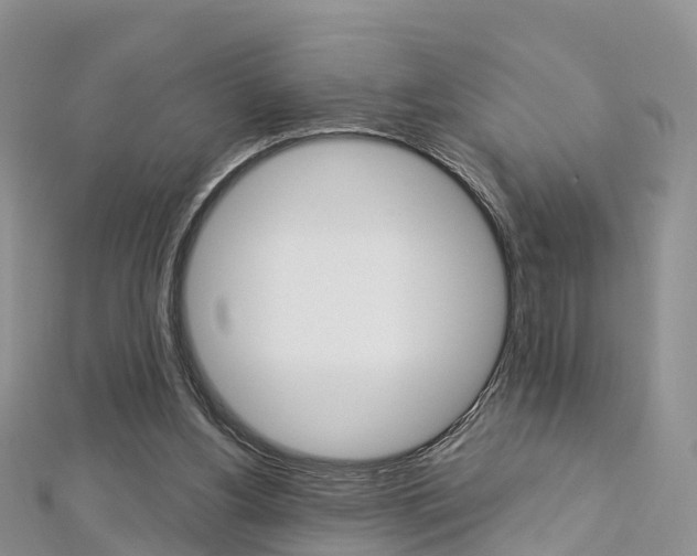 X0000112740156200908201042
