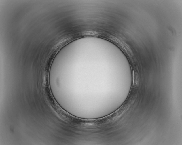 X0000112740157200908201042
