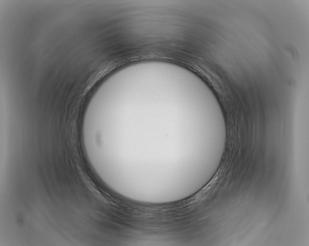 X0000112740158200908201042