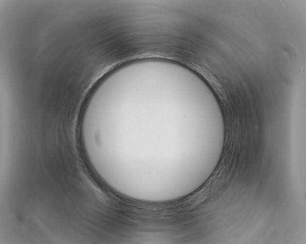 X0000112740160200908201042