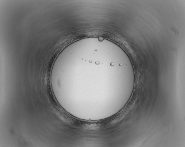 X0000112740161200908201042