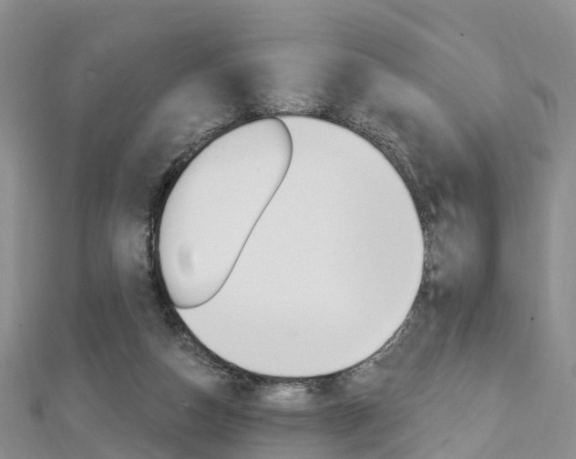 X0000112740162200908201042