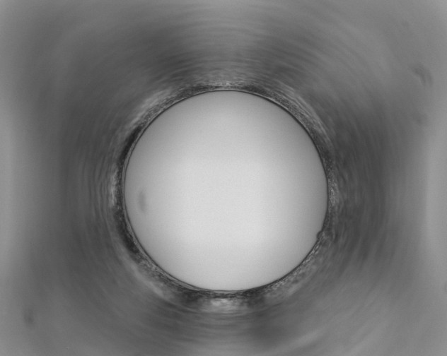 X0000112740163200908201042