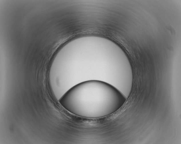 X0000112740164200908201042