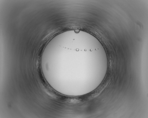 X0000112740165200908201042