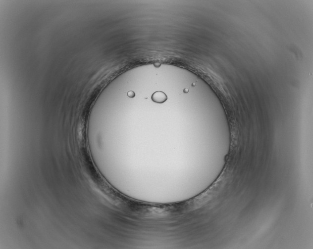 X0000112740166200908201042