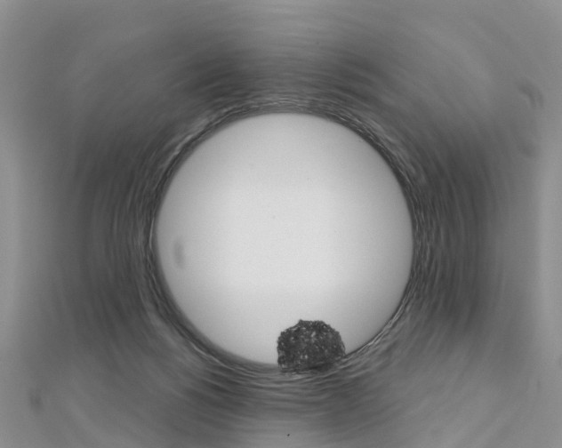 X0000112740168200908201042
