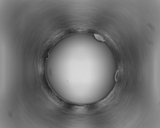 X0000112740170200908201042