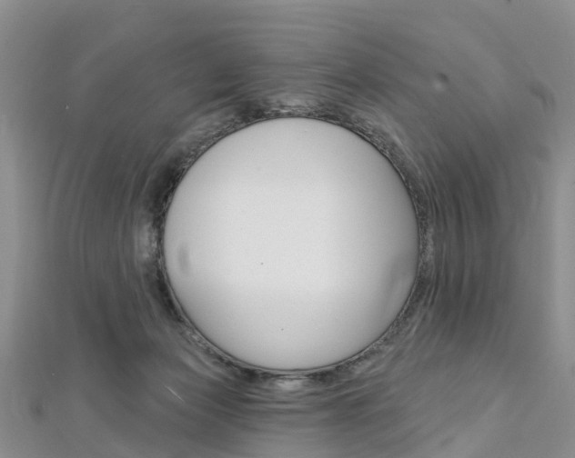 X0000112740173200908201042