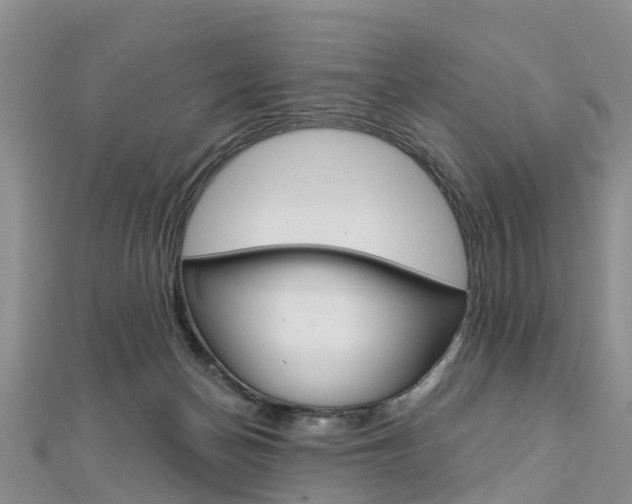 X0000112740174200908201043