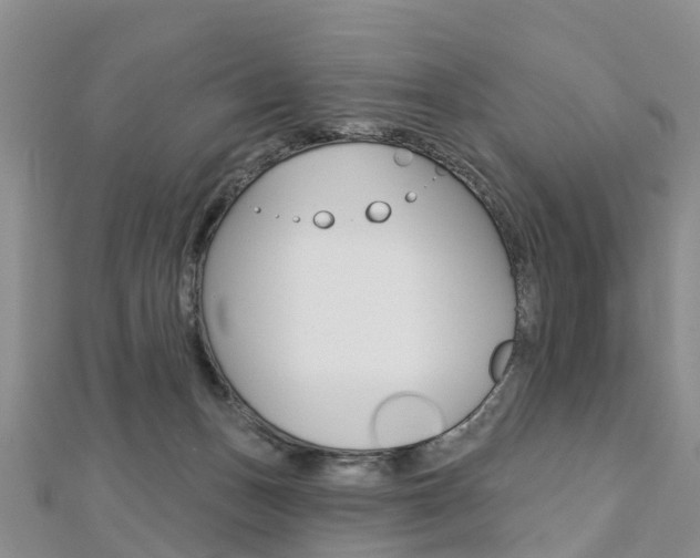 X0000112740175200908201043
