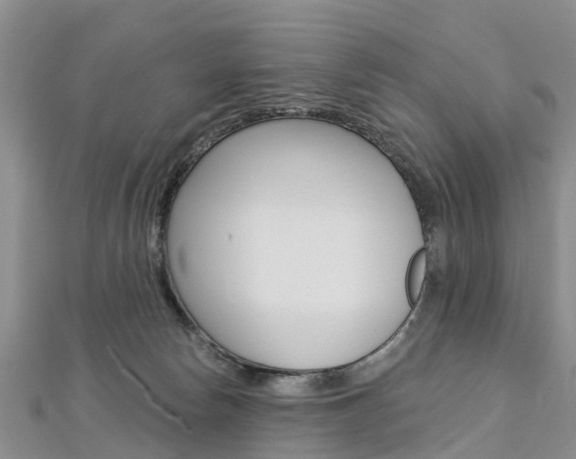 X0000112740178200908201043
