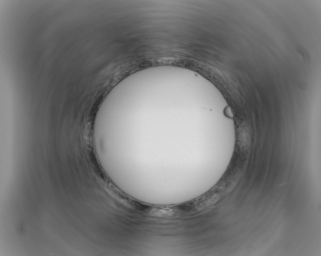 X0000112740181200908201043