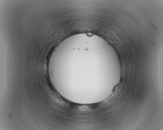 X0000112740183200908201043