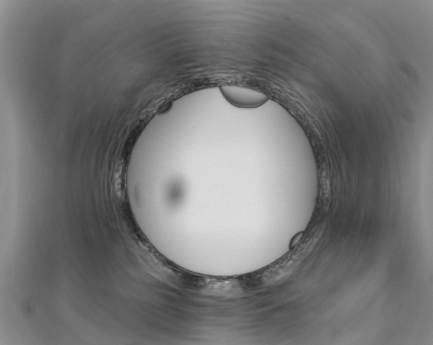X0000112740185200908201043