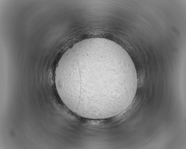X0000112740187200908201043