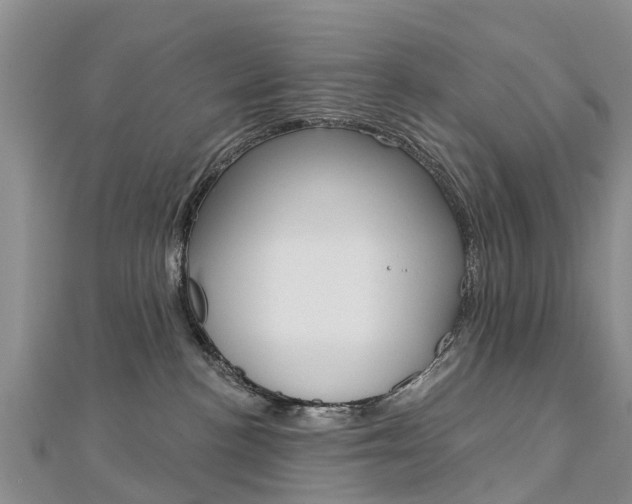 X0000112740188200908201043