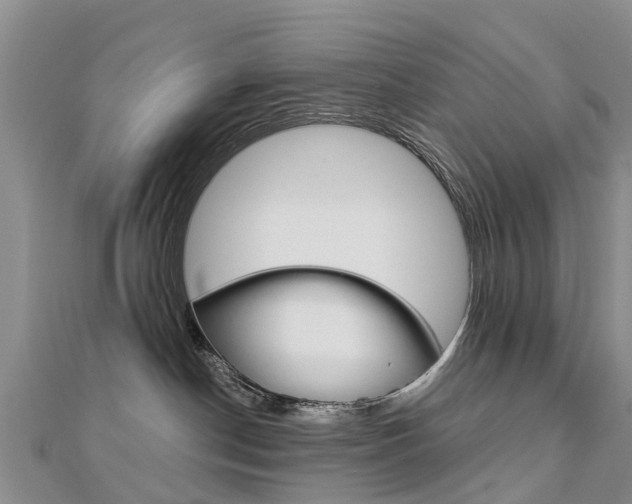 X0000112740190200908201043