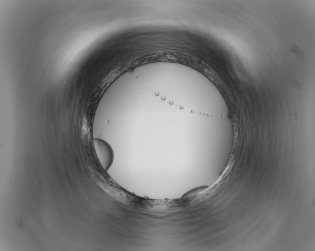 X0000112740191200908201043