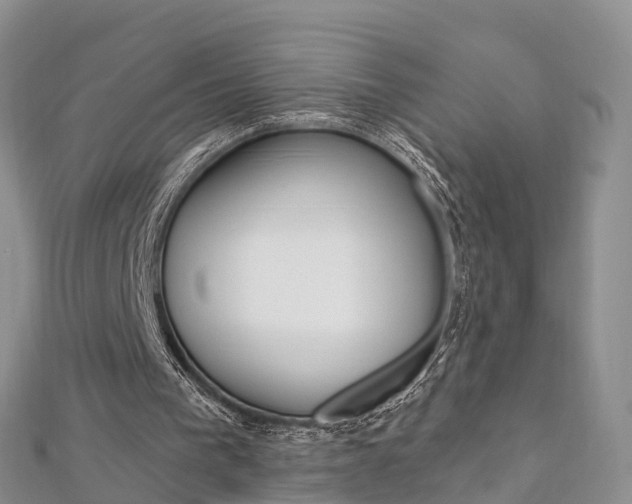 X0000112740193200908201042