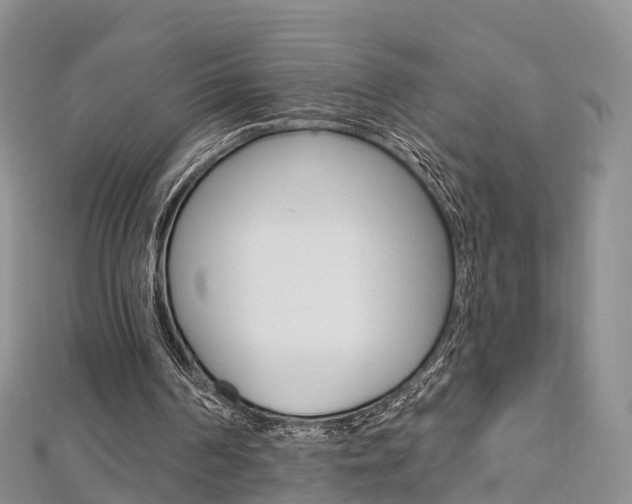 X0000112740194200908201042