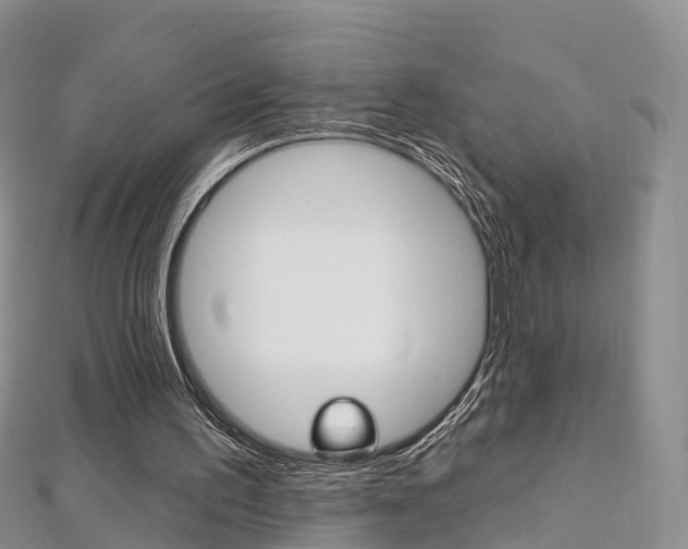 X0000112740195200908201042
