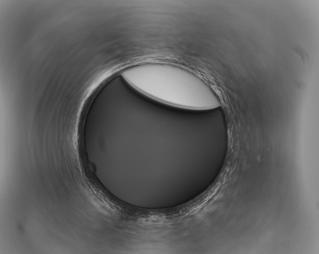 X0000112740196200908201042
