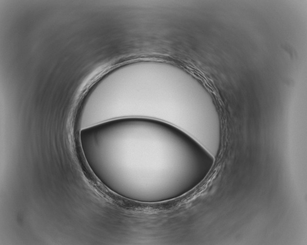 X0000112740197200908201042